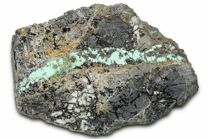 Polished Turquoise in Matrix Slab - Nevada #371564